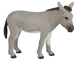 Donkey